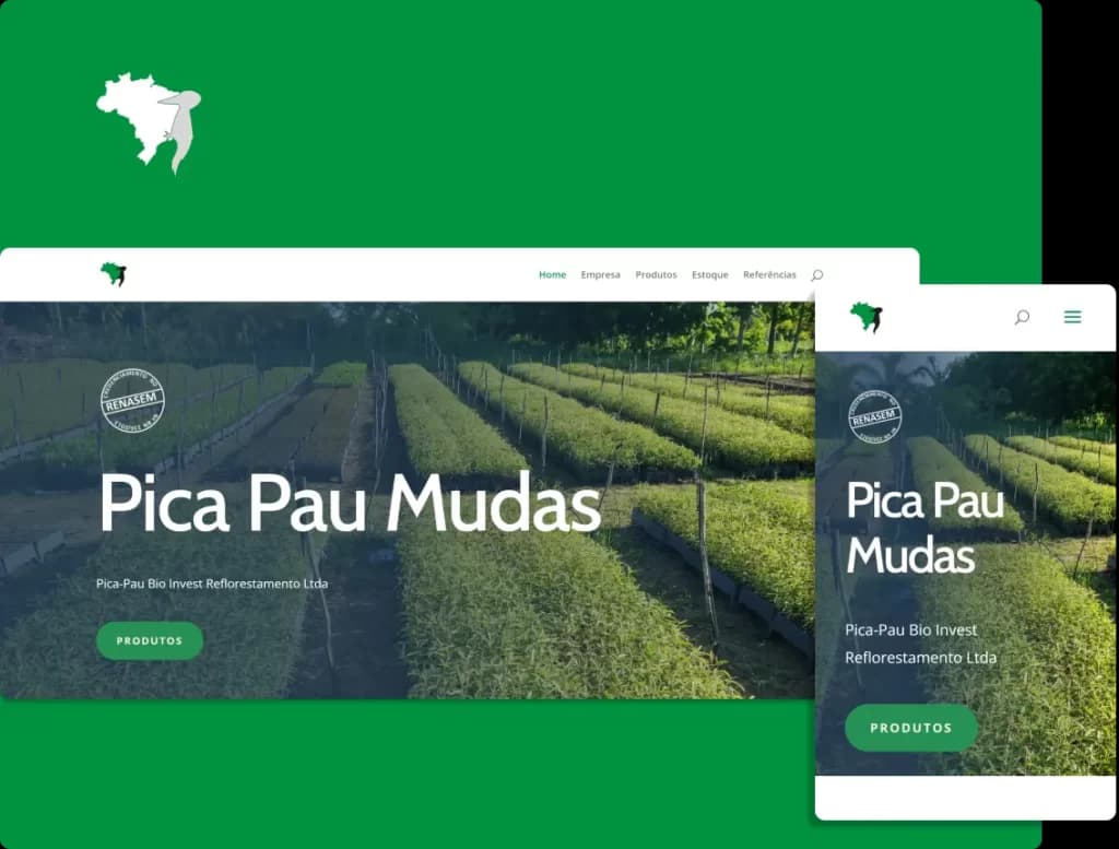 Pica-Pau Mudas